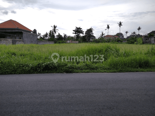 Tanah di jalan utama super murah 1