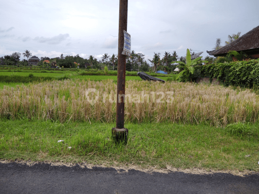 The land on the main road is suitable for a villa ready to be built 2