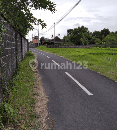 The land on the main road is suitable for a villa ready to be built 1