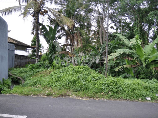 Tanah los sungai view lembah jalan utama 1