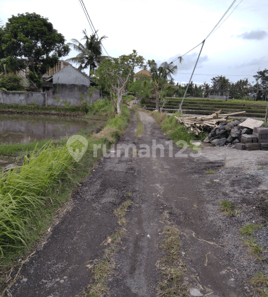 Tanah lokasi strategis bagus untuk bisnis 2