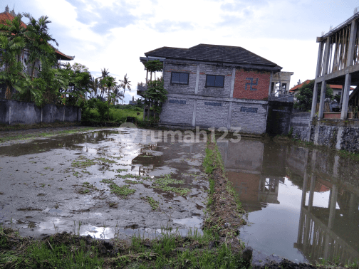 Tanah siap bangun view sawah cocok villa pribadi 2