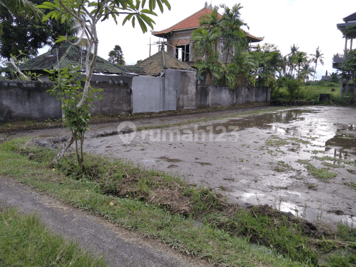 Tanah siap bangun view sawah cocok villa pribadi 1