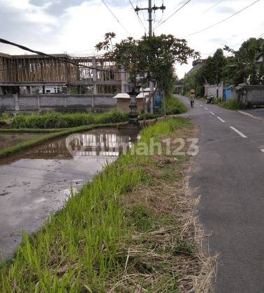 Tanah sawah terasering cocok villa pribadi 1