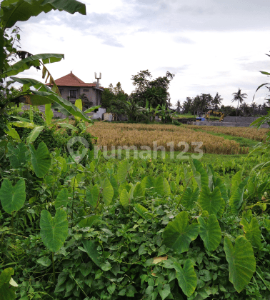 Super cheap land with car parking 1