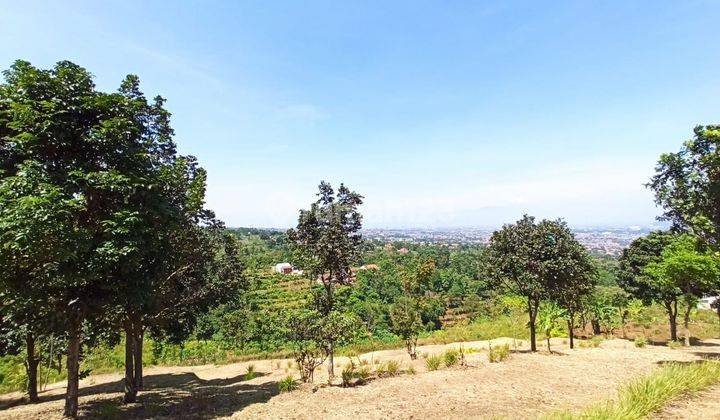 Tanah di Pakuhaji, Ngamprah. Hadap matahari terbit, view kota Bandung &amp; lembah 2