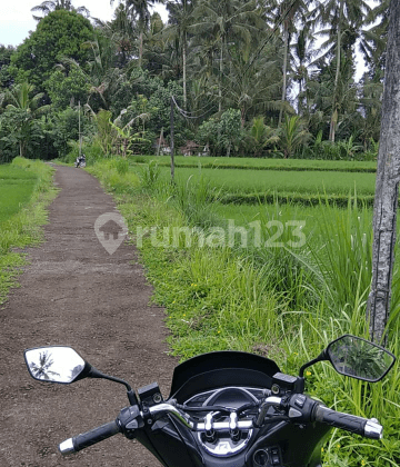 Tanah Lokasi tenang cocok villa 1