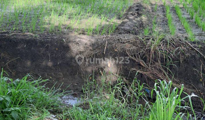 Tanah Plot Industri di Raya Kemlagi Mojokerto 1