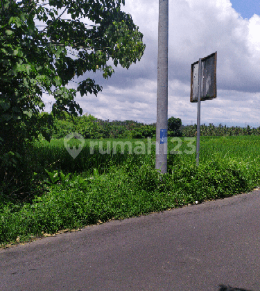 Tanah view sawah cocok rumah pribadi 1