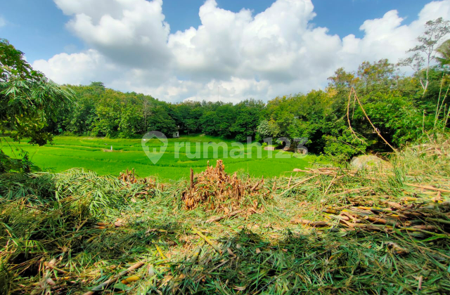 Diskon setengah harga tanah wisata pringsewu murah Diskon setengah harga tanah wisata pringsewu murah