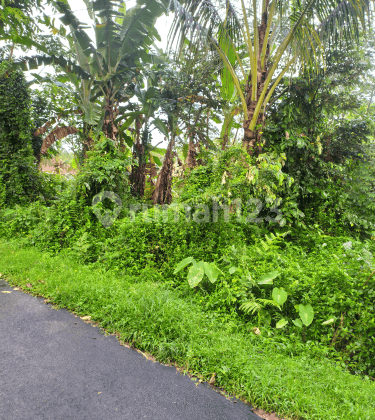 Land on the main road in the villa area, ready to build with rice field views 2