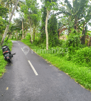 Land on the main road in the villa area, ready to build with rice field views 1