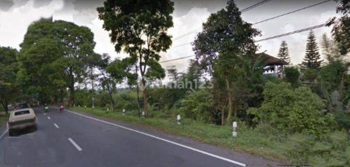 Tanah 7 Hektar di Jl. Raya Cipanas, Cianjur 2