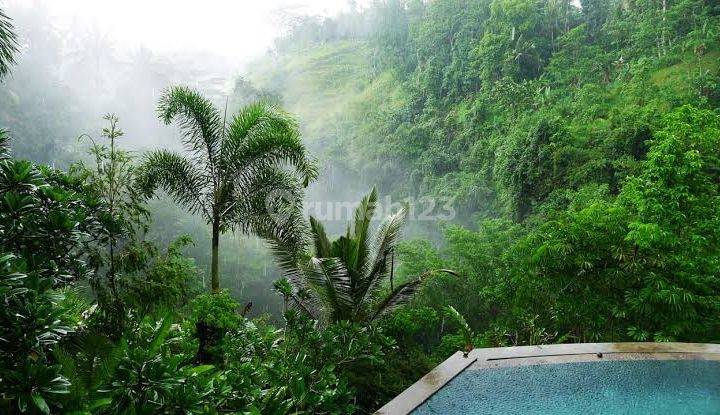 TANAH UBUD FULL VIEW LEMBAH SEBELAH SAMSARA RESORT 1