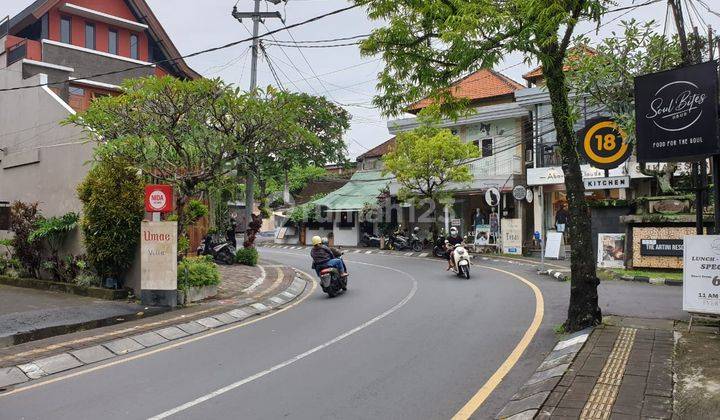 TANAH LANGKA DAN SATU SATUNYA YANG AVAILABLE DI AREA MONKEY FOREST UBUD 1