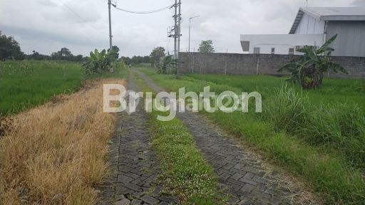 KAVLING SUMUR GEGER, BUKIT PALMA, MENGANTI