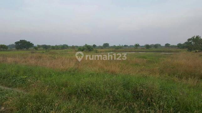 Tanah murah Gurang Anyar Cerme Gresik 1