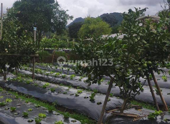 Tanah 1ha Cibodas Lembang Bandung Barat 2