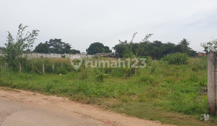 Kavling Tanah di Cileungsi Bogor Kavling Tanah di Cileungsi Bogor
