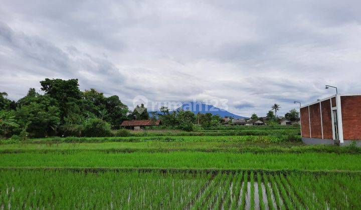 Tanah Murah cck Investasi/Rumah di pinggir Jalan Lebar Sariharjo 1