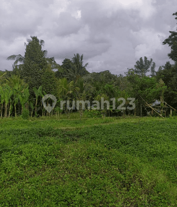 Land suitable for villa with eternal rice field view, villa environment 1