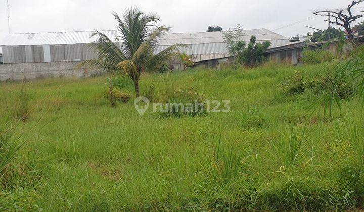 Tanah di Desa Cibinong Gunung Sindur Bogor 2