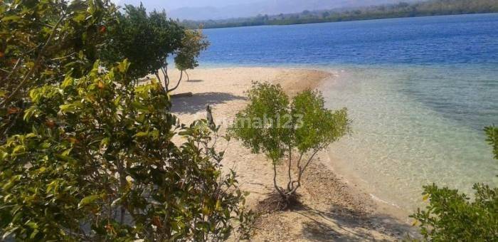 For Sale Beachfront Land 4 H For Resort In Sumerkima Buleleng Bali 1