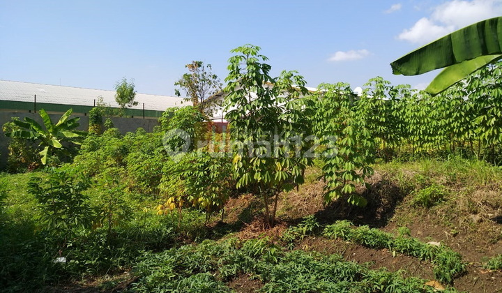 Tanah KIC Gatsu Luas 2000 Siap Bangun dekat Tol Semarang 1