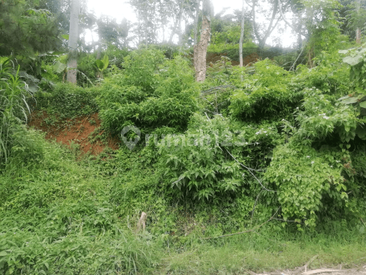 Tanah Lokasi Strategis  Cihideung Parongpong Lembang 300 Meter Dari Kampung Gajah di Sersan bajuri bandung, Parongpong SHM - Sertifikat Hak Milik 2