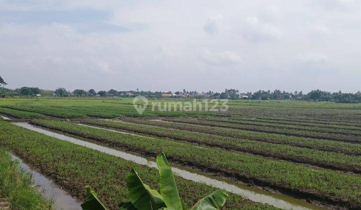 Tanah Murah di Babakan Asam Teluk Naga Tangerang 2