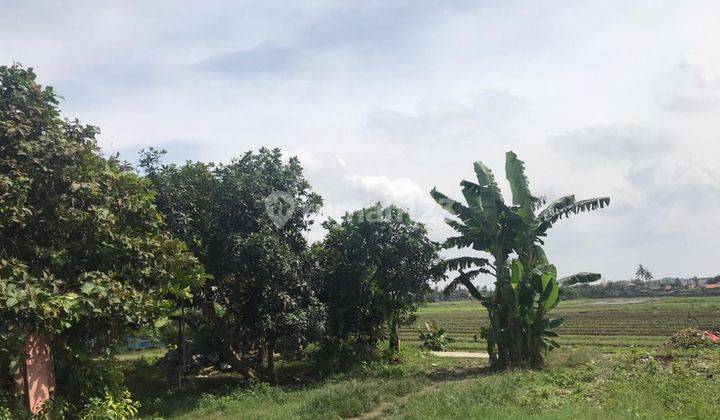 Tanah Murah di Babakan Asam Teluk Naga Tangerang 1