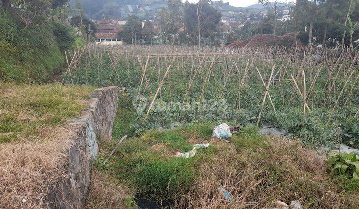 Lahan Murah kawasan Cikole Lembang Bandung 1