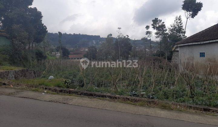 Lahan Murah kawasan Cikole Lembang Bandung 2