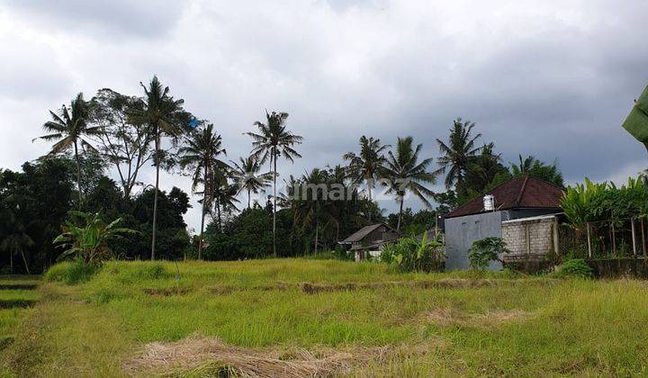 TANAH LOKASI EXPAT DI LODTUNDUH UBUD 1