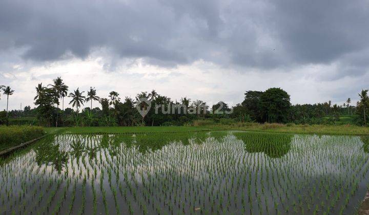 TANAH CANTIK SEBELAH THE WESTIN RESORT UBUD 1