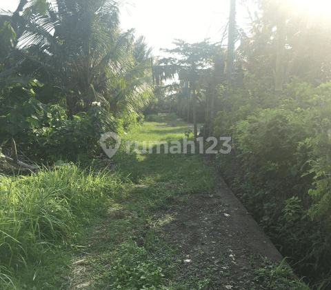 Land with jungle view, valley, villa environment 1