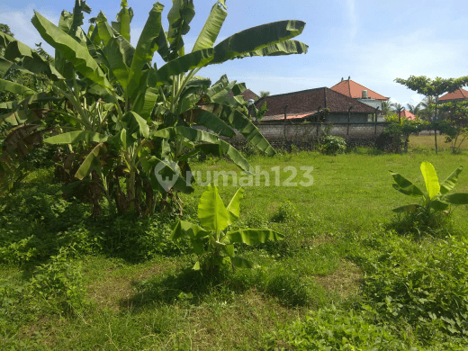 Land near the main road with views of rice fields, suitable environment for a villa 2