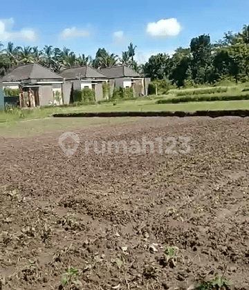 Plot land ready to build in LODTUNDUH Ubud 1