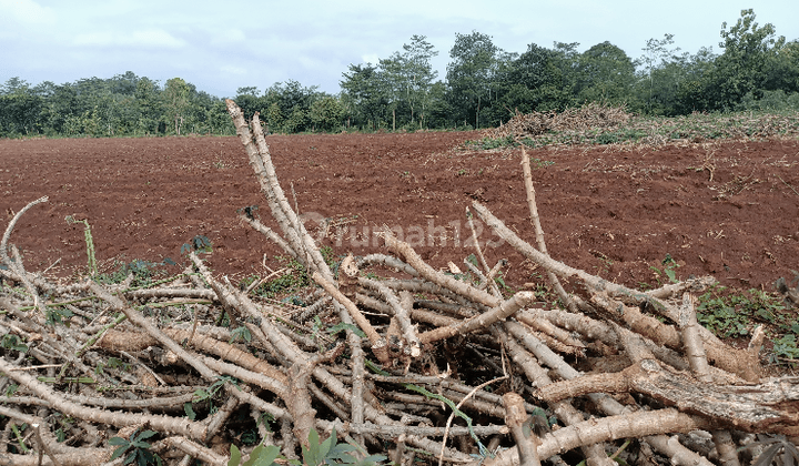 Lahan Industri Siap Bangun di jepara Jawa Tengah 2