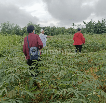 Lahan Infustri Siap Bangun di mayong Jepara Jawa Tengah 2