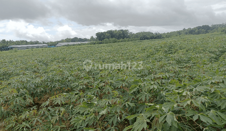 Lahan Infustri Siap Bangun di mayong Jepara Jawa Tengah 1