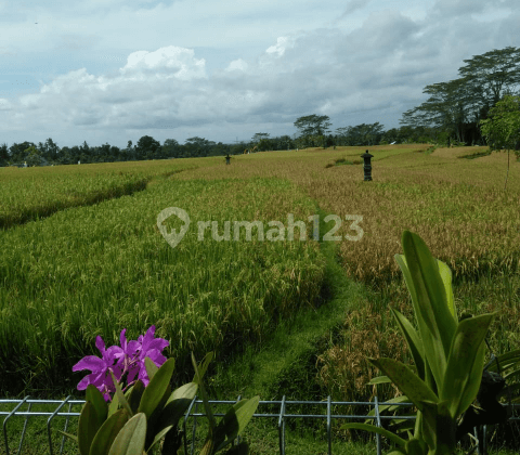 Tanah View Keren Harga Murahh Cocok Villa Rental 1