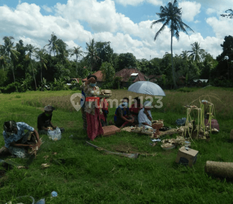 Tanah View Keren Harga Murahh Cocok Villa Rental 2