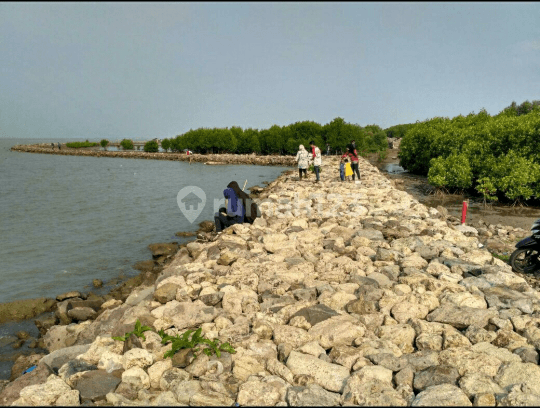 Kavling Persis Pinggir Pantai 2