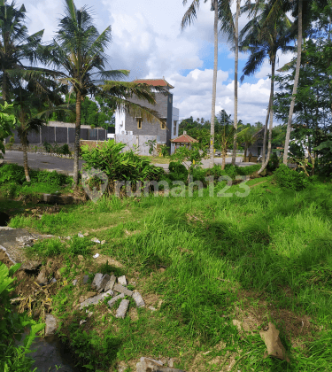 Cheap land in the Ubud villa area with good views 1