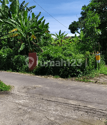 Rare land on the main road of Mawang Lodtunduh 1