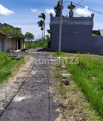 Tanah Di Dekat Jalan Utama Dengan View Cantik Sawah Dan Gunung 1