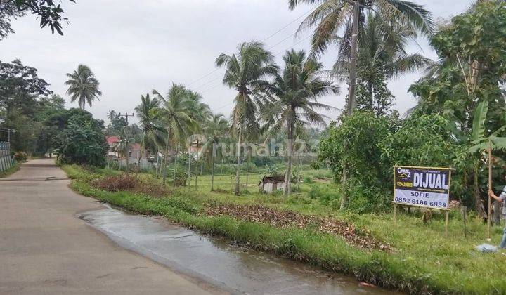 Tanah Pertigaan Mancak Bagendung Cilegon 1