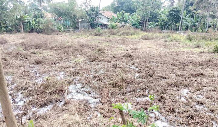 tanah sawah untuk pemancingan,ternak ikan, rumah mkn pedesaan 1