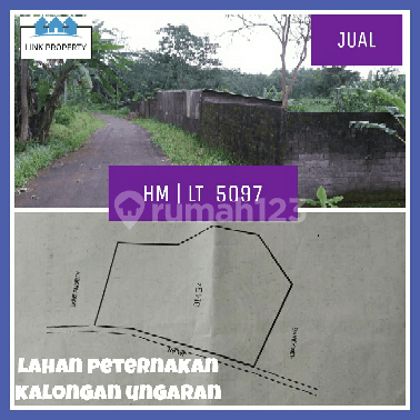 Jual Tanah Murah!! Turun Harga!! Sblmnya 550rb / M2...tanah Lahan Peternakan Di Kalongan Ungaran Timur .desa Mendiro. 2